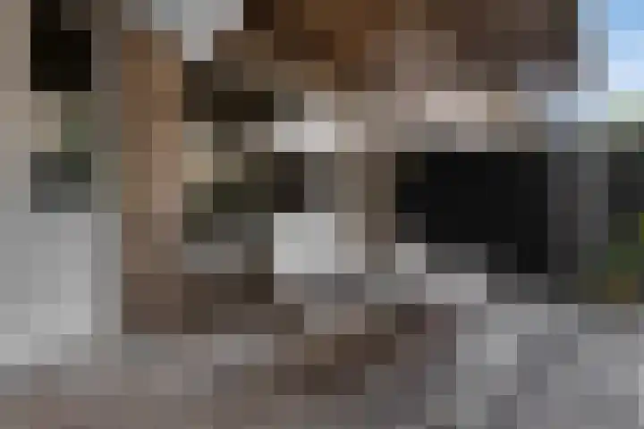 Orvallaan 11 Eindhoven thumbnail 31