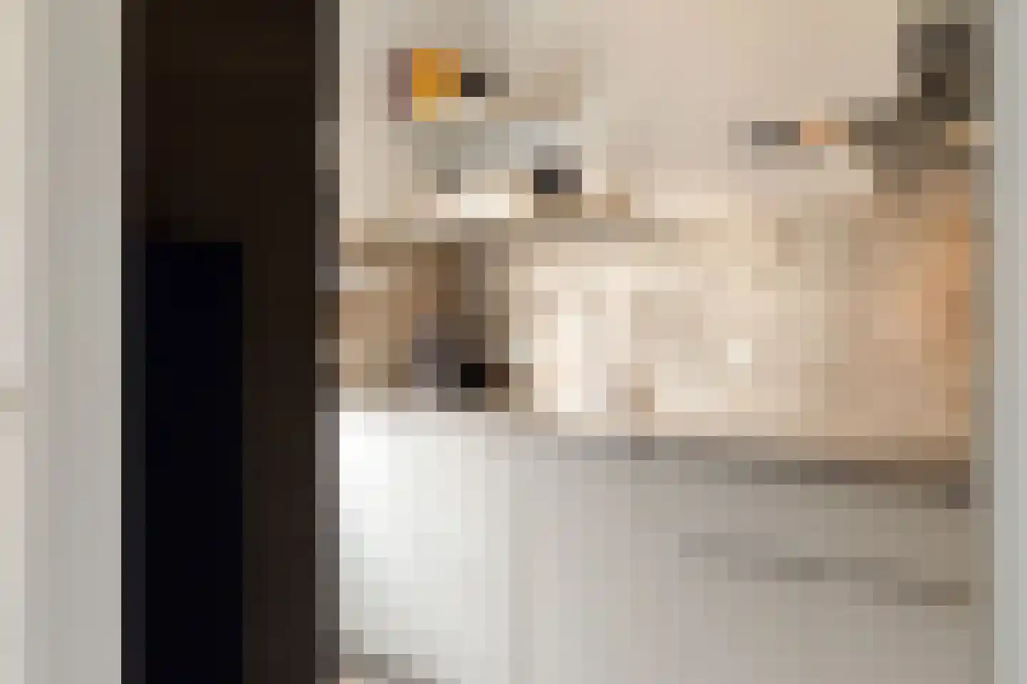 Orvallaan 15 Eindhoven thumbnail 15