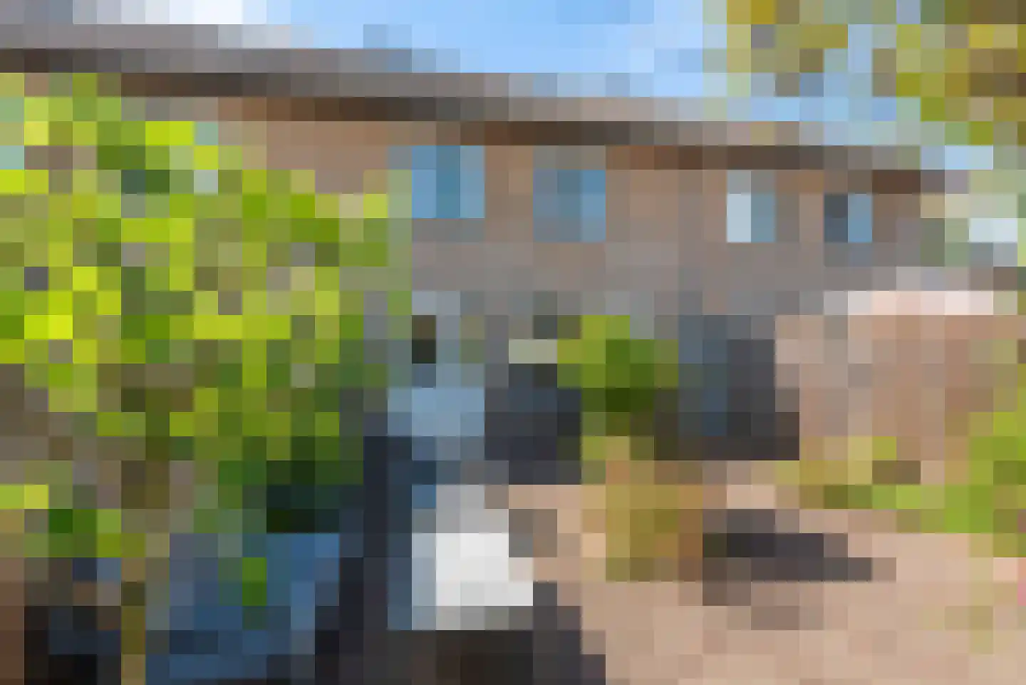 Orvallaan 21 Eindhoven thumbnail 42