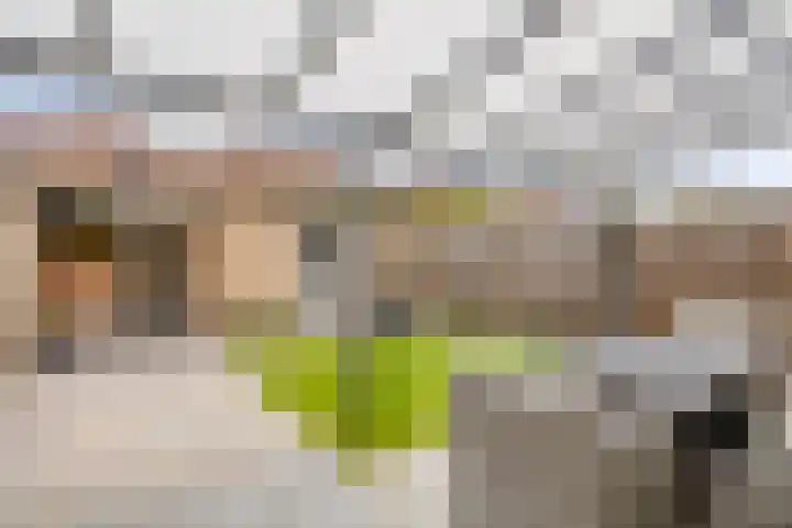 Orvallaan 34 Eindhoven thumbnail 37