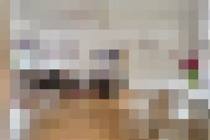 Orvallaan 36 Eindhoven thumbnail 12