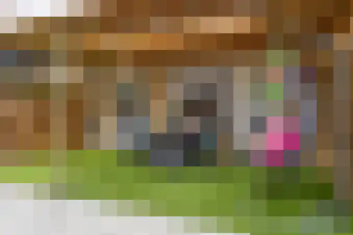 Orvallaan 36 Eindhoven thumbnail 27