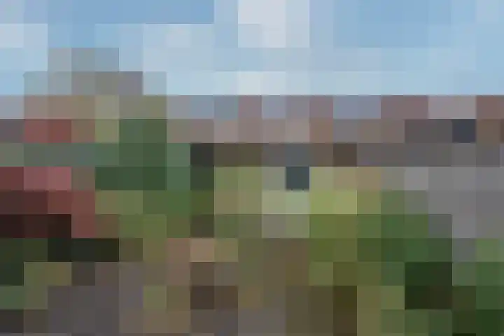 Orvallaan 38 Eindhoven thumbnail 25