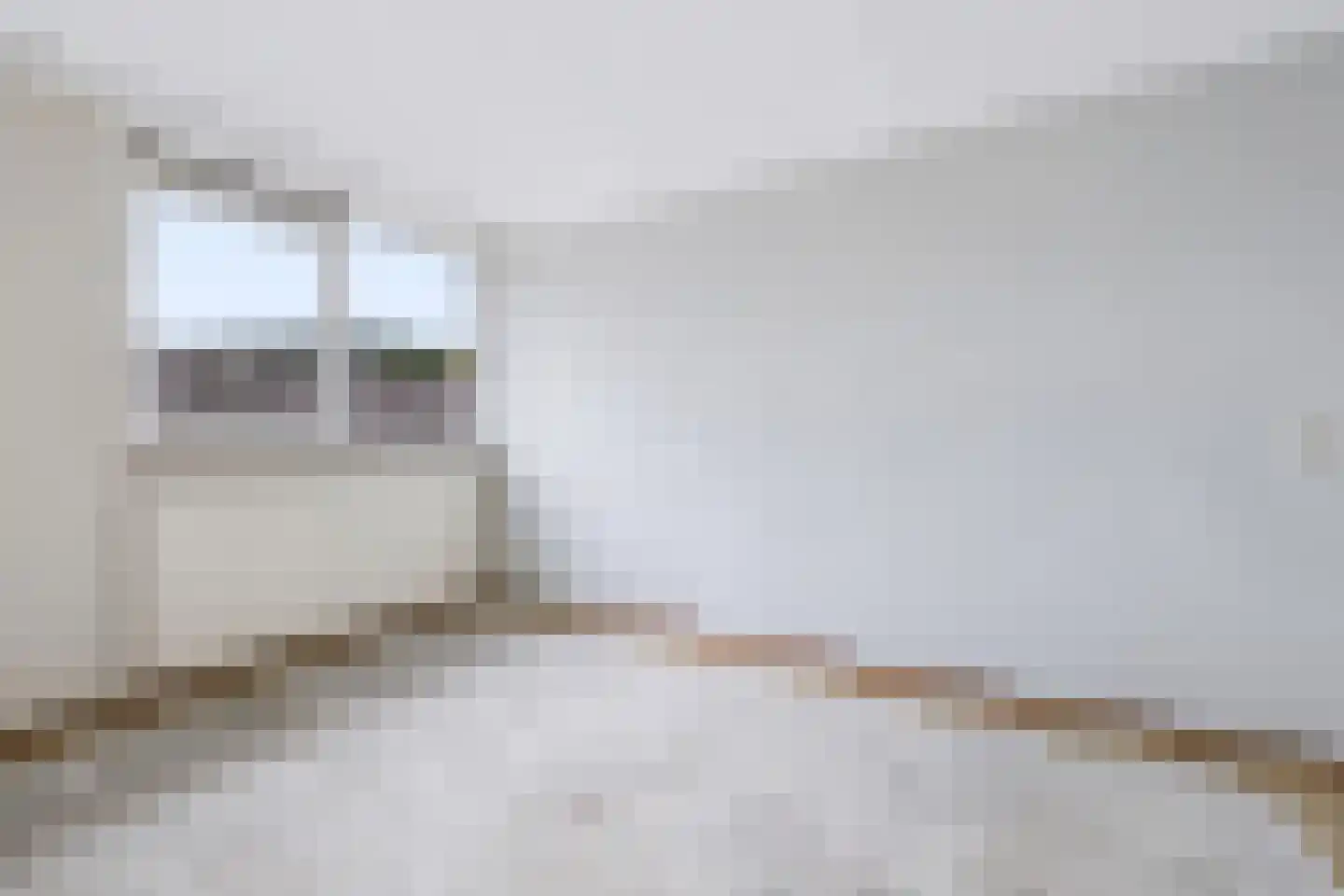 Orvelterbrink 101 Emmen thumbnail 20