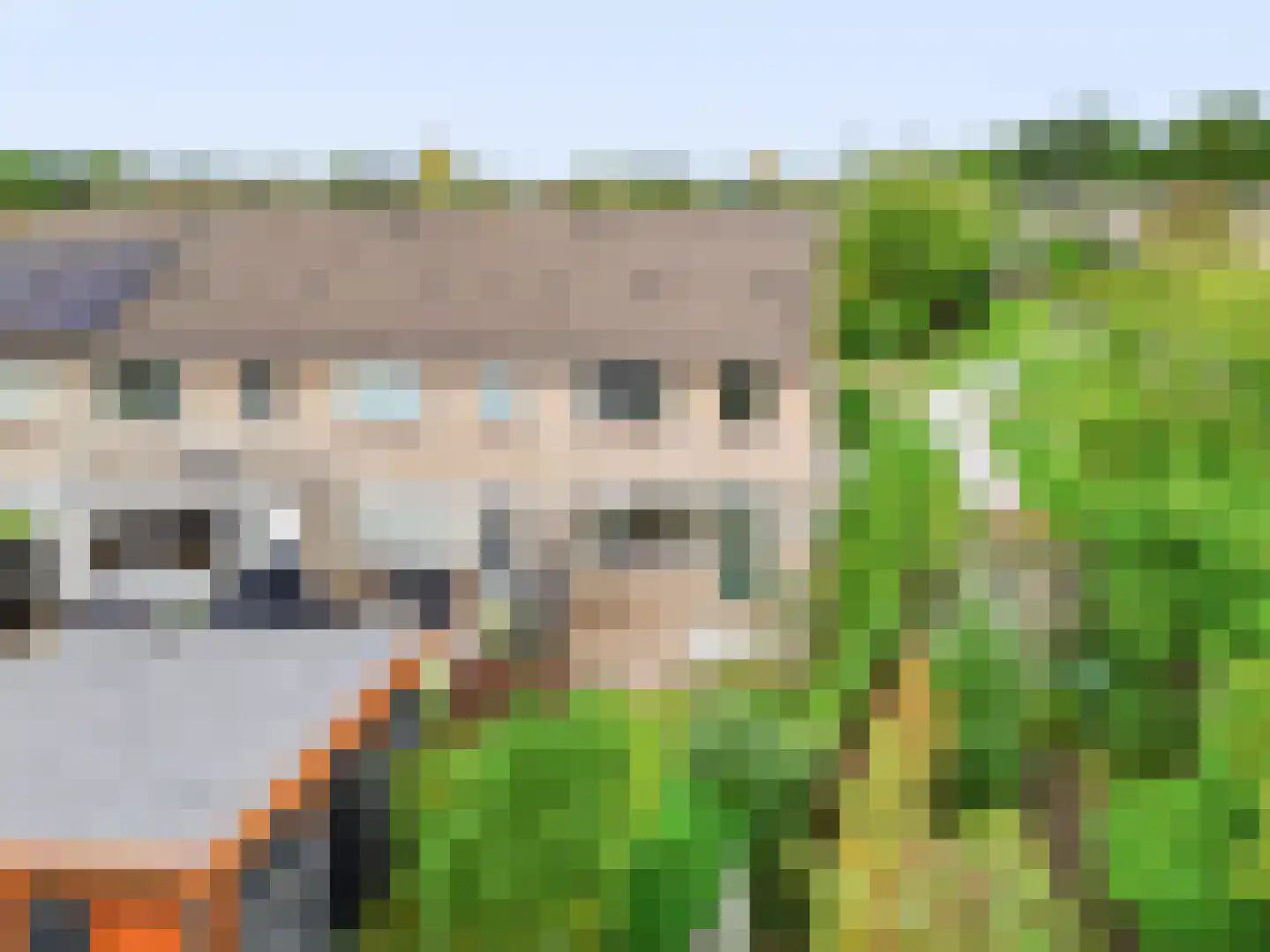 Orvelterbrink 101 Emmen thumbnail 35