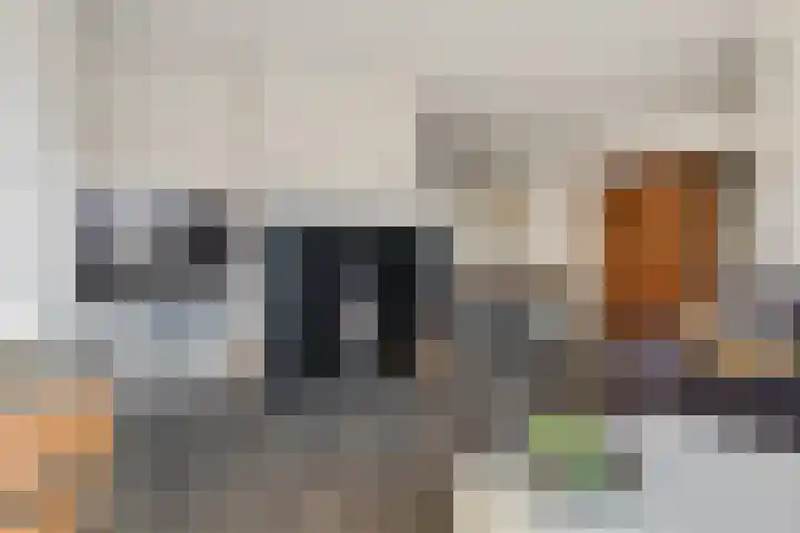 Orvelterbrink 12 Emmen thumbnail 11