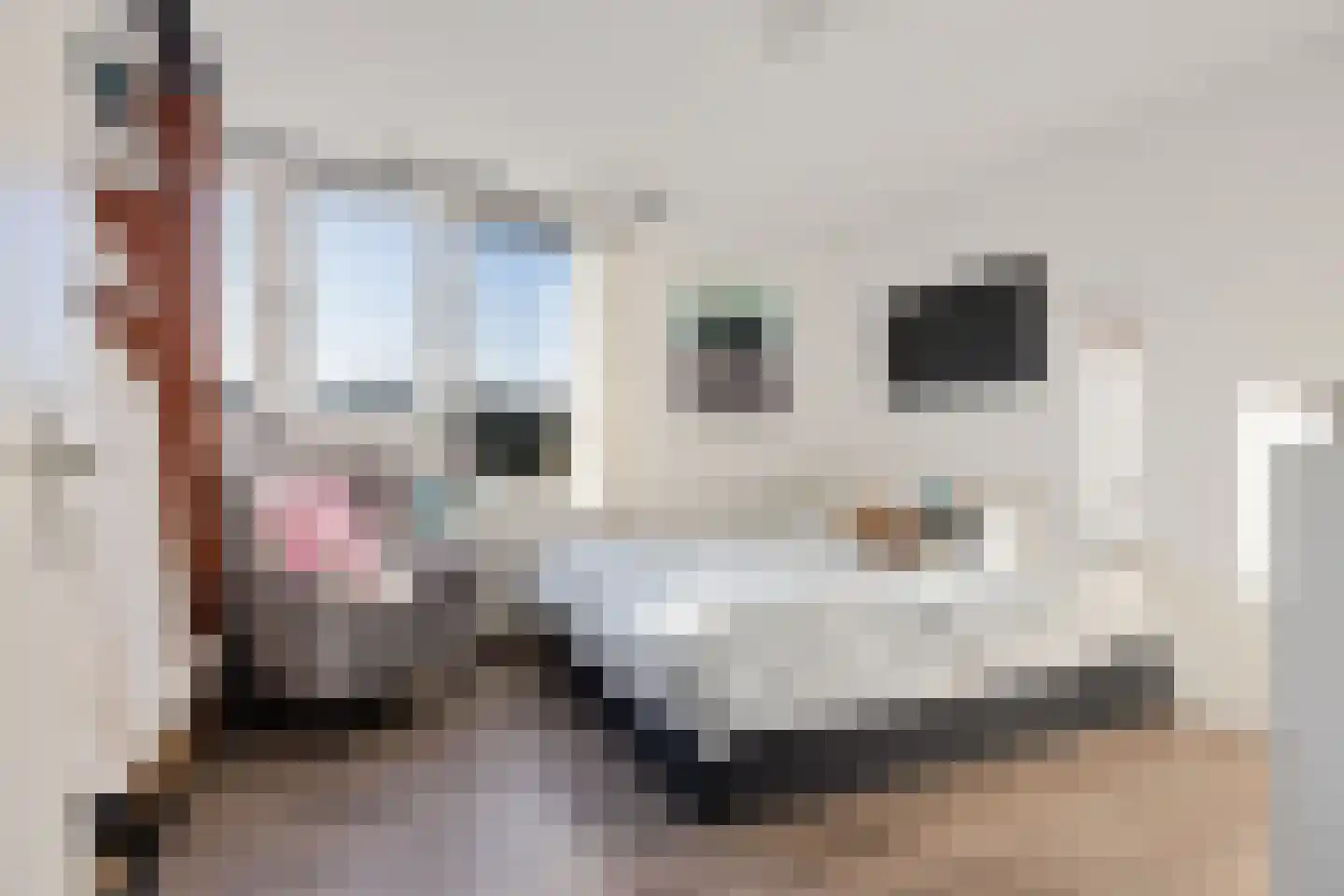 Orvelterbrink 12 Emmen thumbnail 30