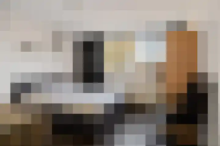 Orvelterbrink 12 Emmen thumbnail 32