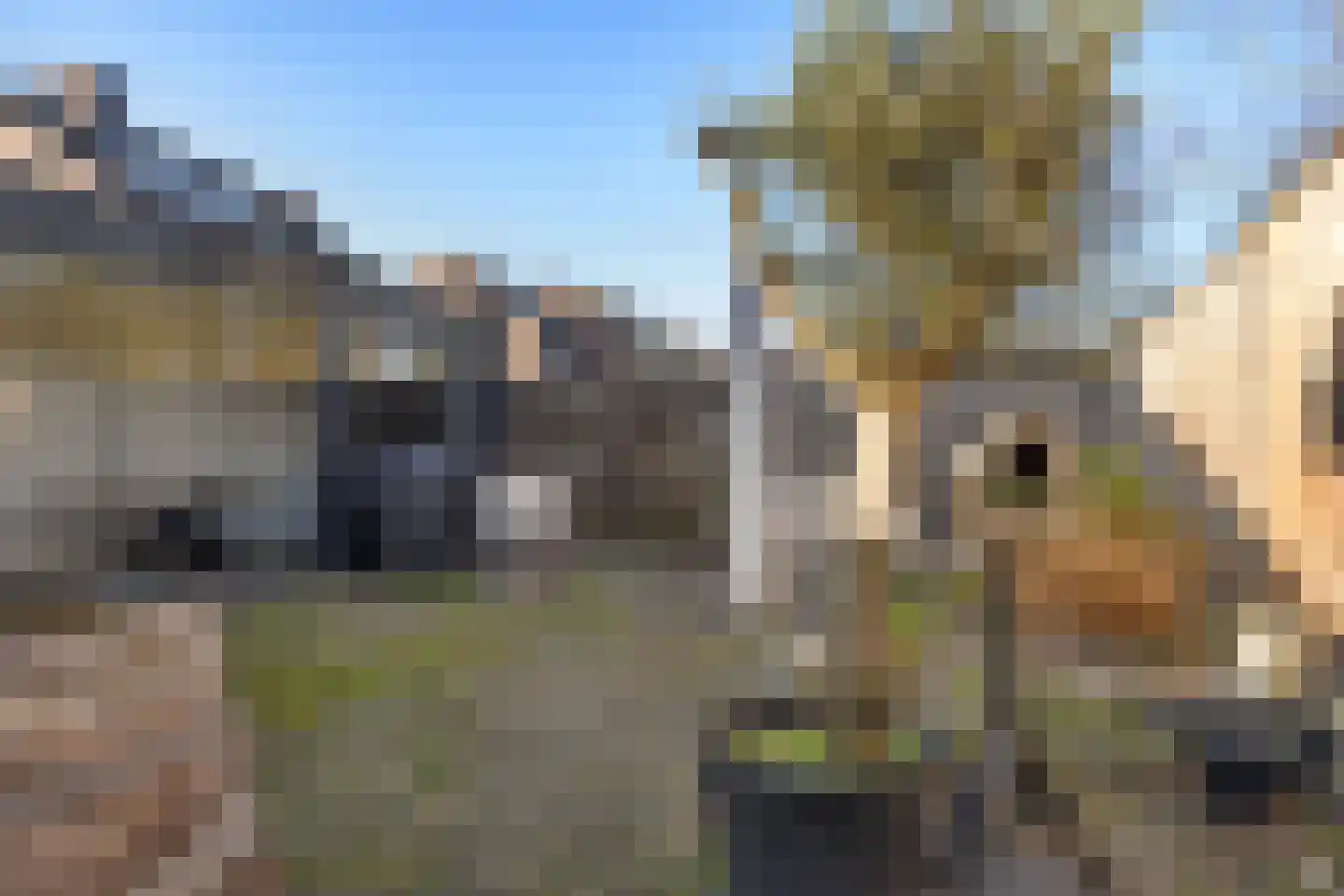 Orvelterbrink 12 Emmen thumbnail 48