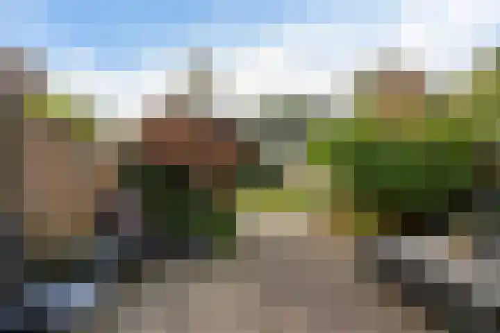 Orvelterbrink 122 Emmen thumbnail 28