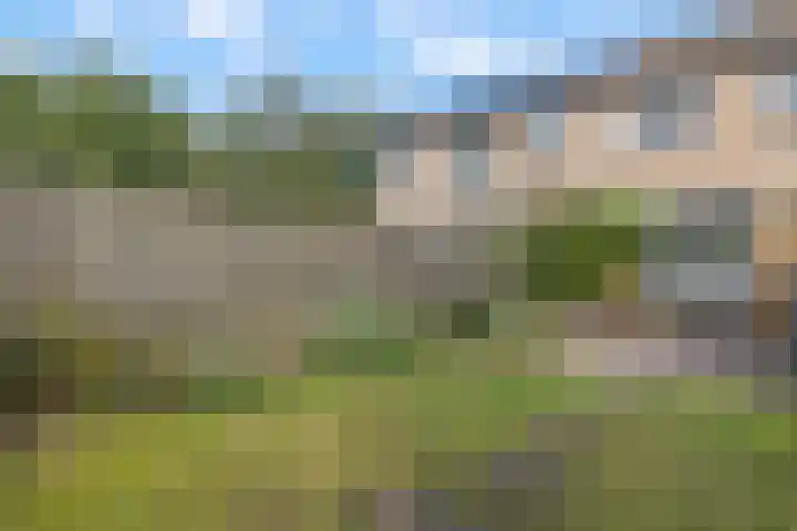Orvelterbrink 122 Emmen thumbnail 31
