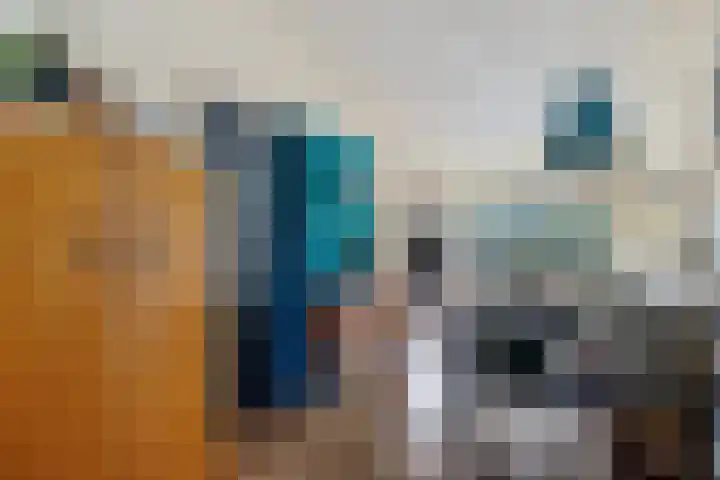 Orvelterbrink 122 Emmen thumbnail 8