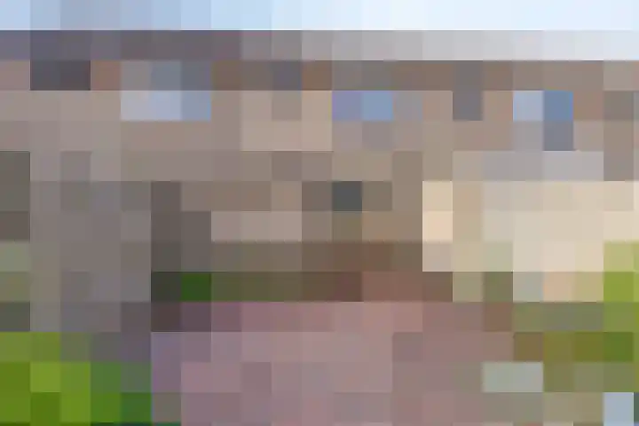 Orvelterbrink 125 Emmen thumbnail 25