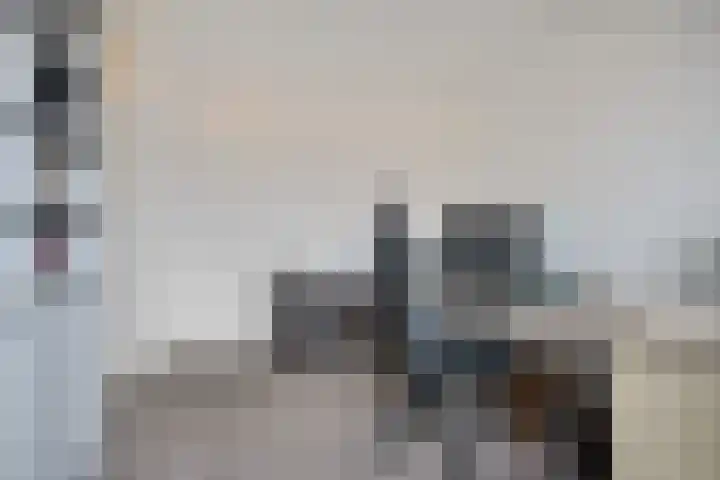 Orvelterbrink 148 Emmen thumbnail 29