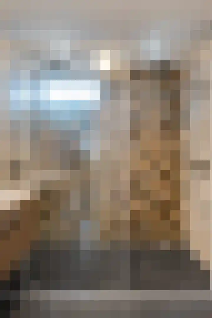 Orvelterbrink 148 Emmen thumbnail 31