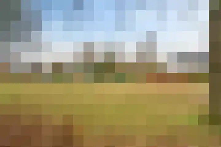 Orvelterbrink 148 Emmen thumbnail 45