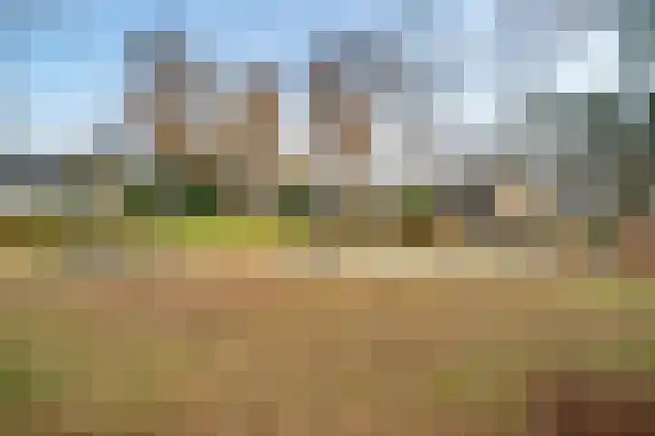 Orvelterbrink 148 Emmen thumbnail 46