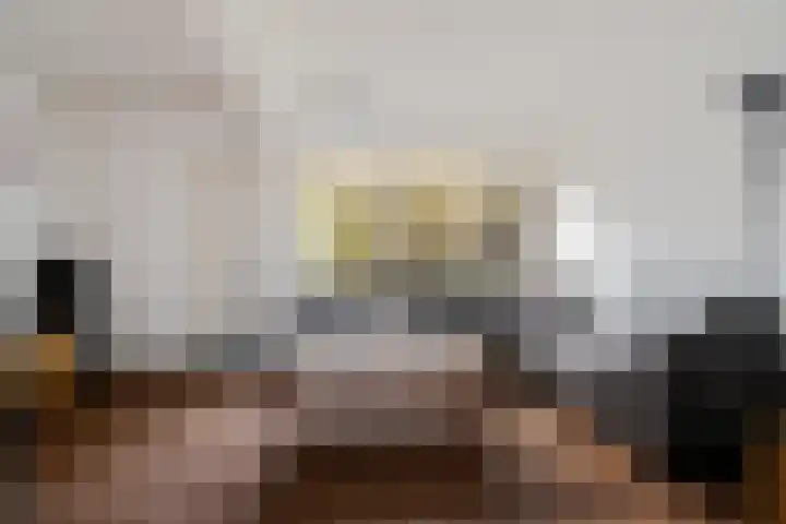 Orvelterbrink 148 Emmen thumbnail 9