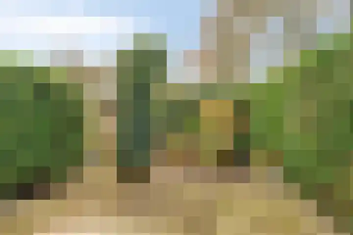 Orvelterbrink 186 Emmen thumbnail 28