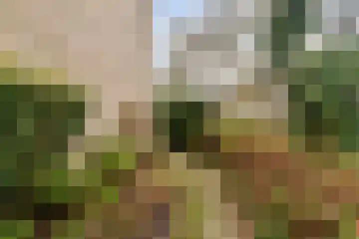 Orvelterbrink 186 Emmen thumbnail 31