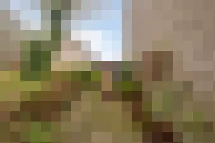 Orvelterbrink 186 Emmen thumbnail 32