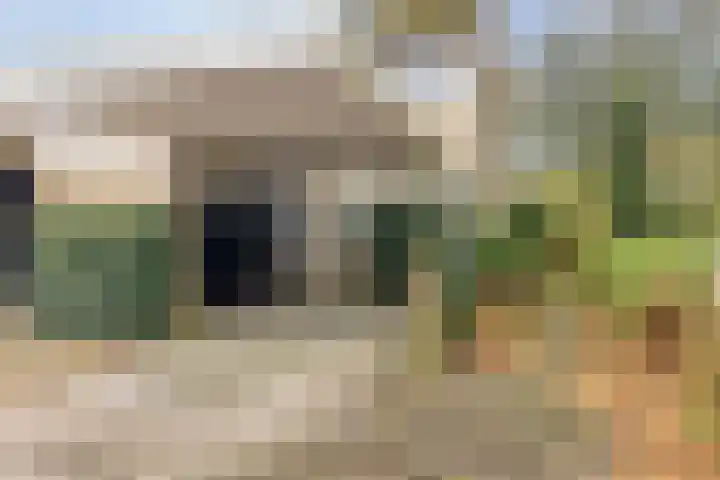 Orvelterbrink 186 Emmen thumbnail 34