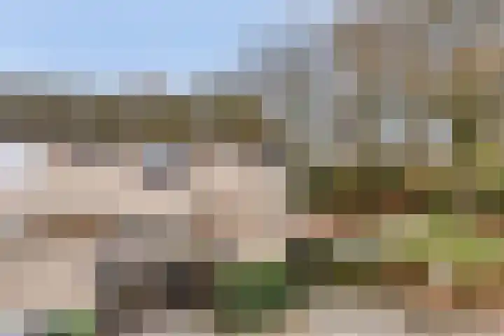 Orvelterbrink 186 Emmen thumbnail 37