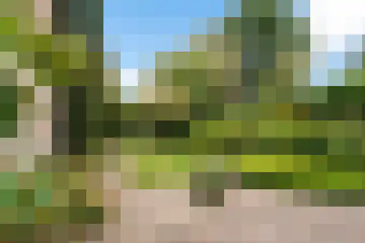 Orvelterbrink 52 Emmen thumbnail 35