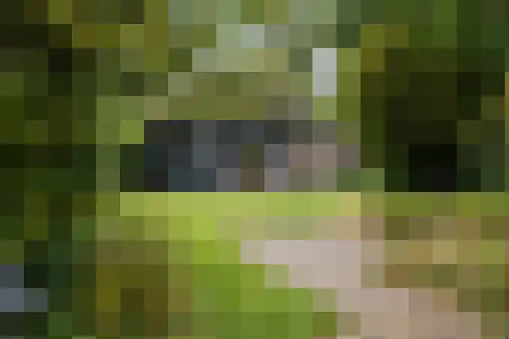 Orvelterbrink 52 Emmen thumbnail 36