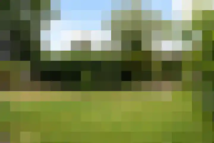 Orvelterbrink 52 Emmen thumbnail 40