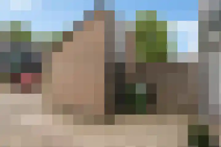 Orvelterbrink 52 Emmen thumbnail 8