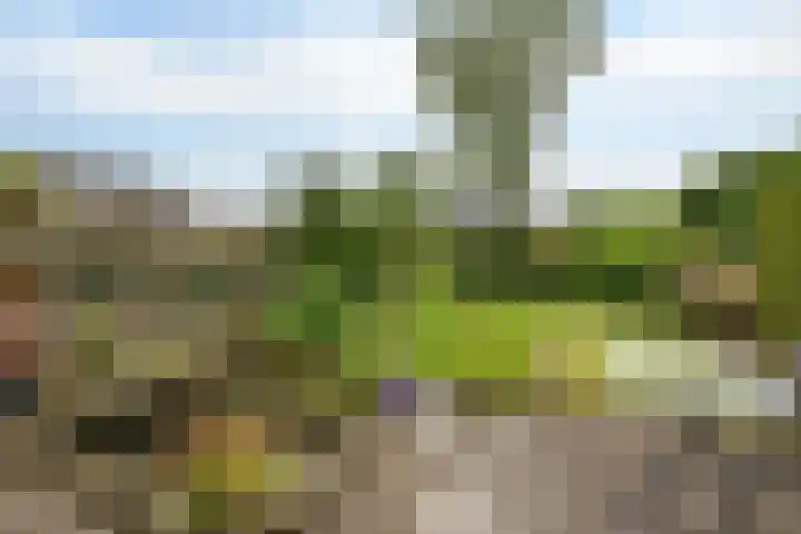 Orvelterbrink 66 Emmen thumbnail 30