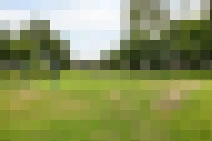 Orvelterbrink 66 Emmen thumbnail 7