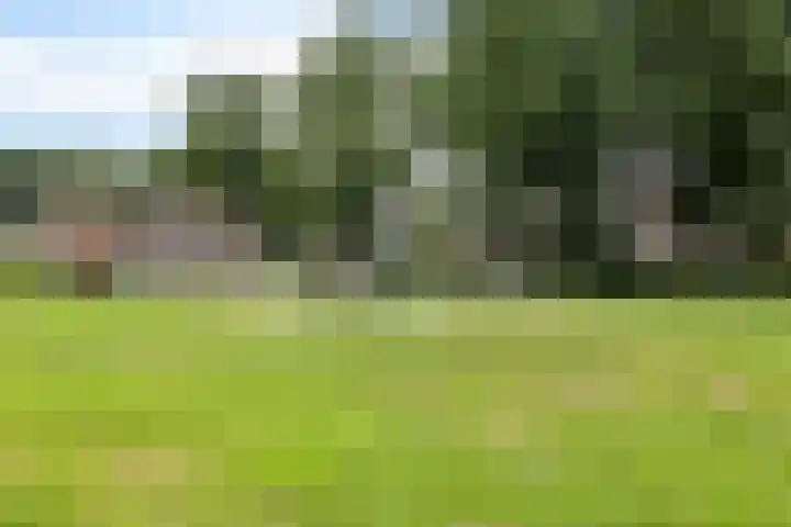 Orvelterbrink 66 Emmen thumbnail 8