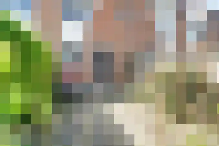 Orvelterdek 31 Nieuwegein thumbnail 23