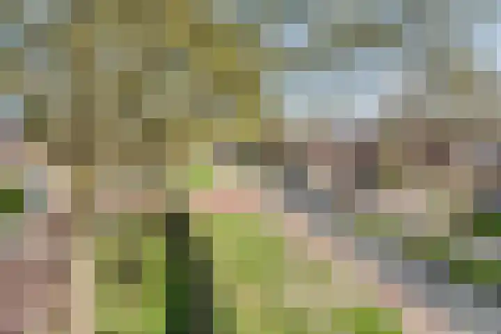 Orvelterdek 31 Nieuwegein thumbnail 37