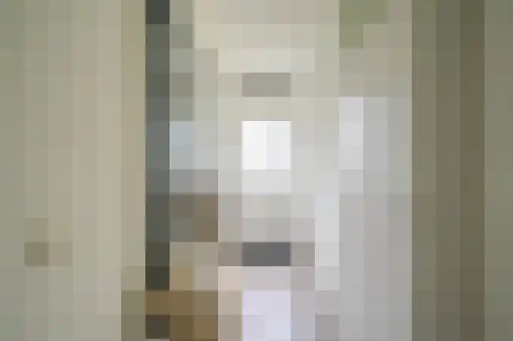Orvelterdek 37 Nieuwegein thumbnail 36