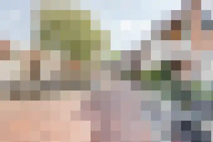 Orvelterdek 38 Nieuwegein thumbnail 6