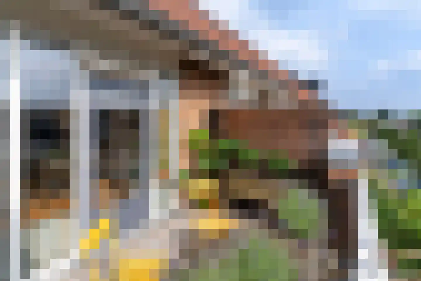 Orvelterdek 49 Nieuwegein thumbnail 12