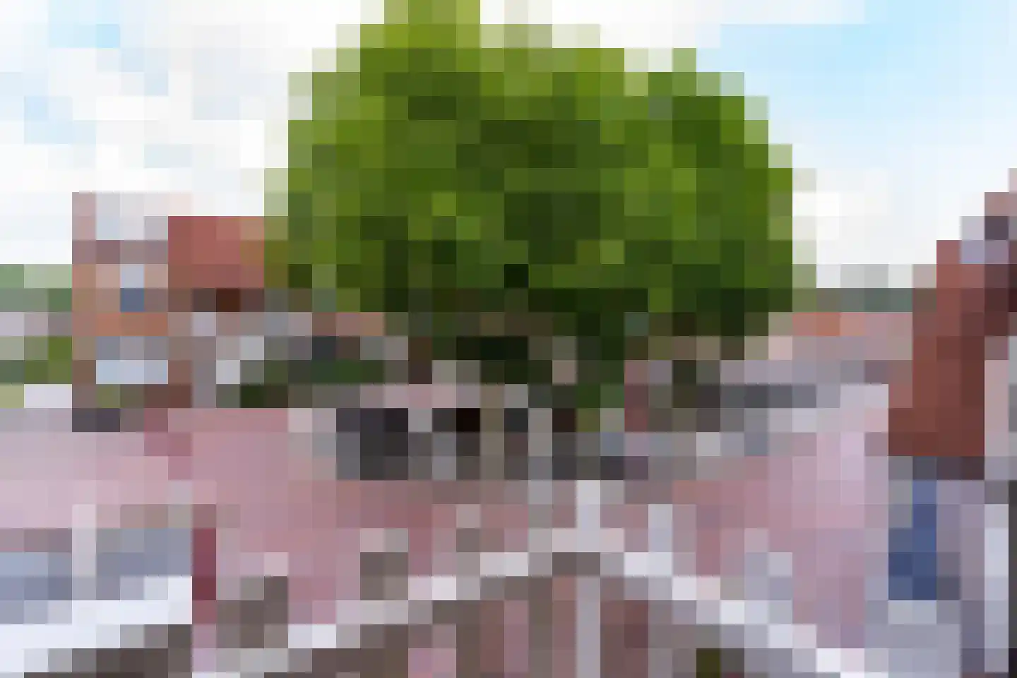 Orvelterdek 49 Nieuwegein thumbnail 26
