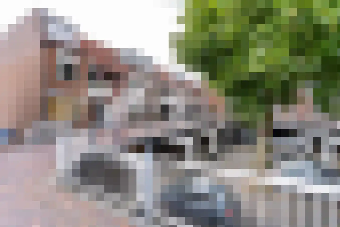 Orvelterdek 49 Nieuwegein thumbnail 32