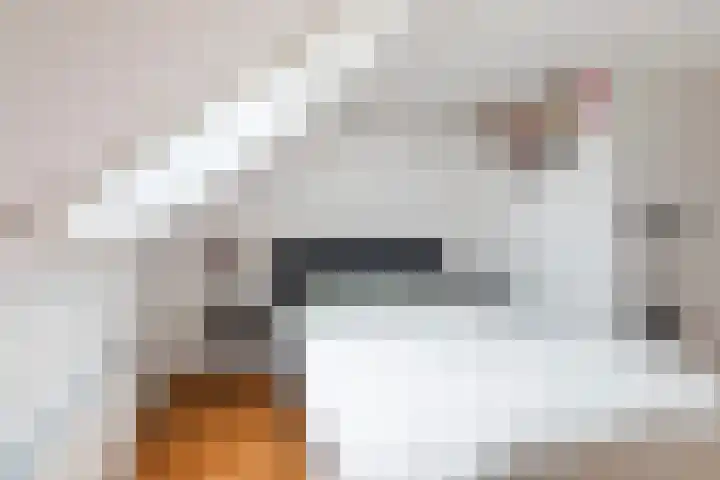 Orxmasingel 132 Menaam thumbnail 27