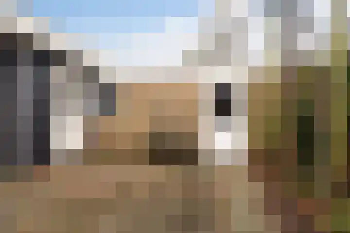 Orxmasingel 132 Menaam thumbnail 33