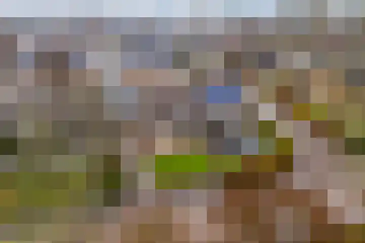 Orxmasingel 132 Menaam thumbnail 38
