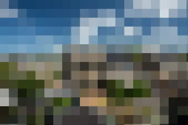 Orxmasingel 15 Menaam thumbnail 10