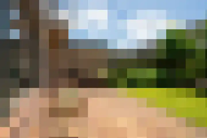 Orxmasingel 15 Menaam thumbnail 11