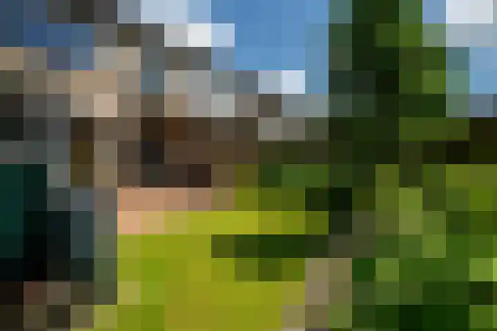 Orxmasingel 15 Menaam thumbnail 14