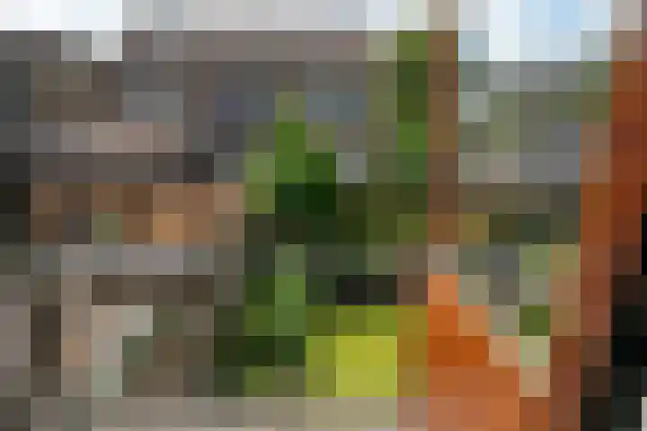 Orxmasingel 15 Menaam thumbnail 31