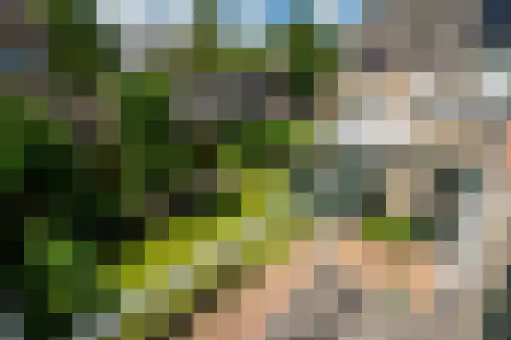 Orxmasingel 15 Menaam thumbnail 32