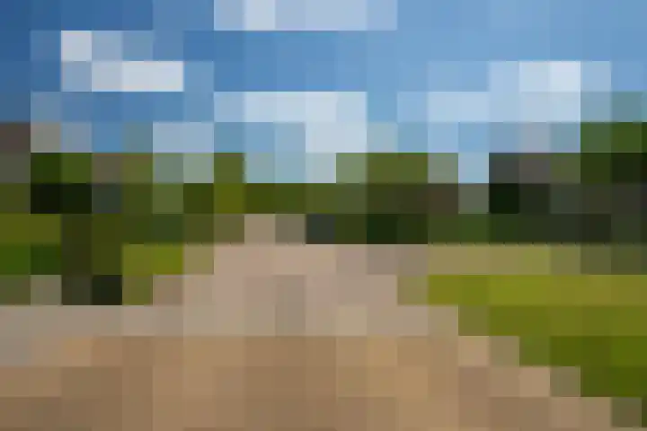 Orxmasingel 15 Menaam thumbnail 39